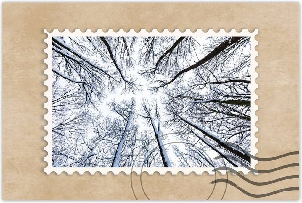 Poszterek 90x60 Fa Kilátás