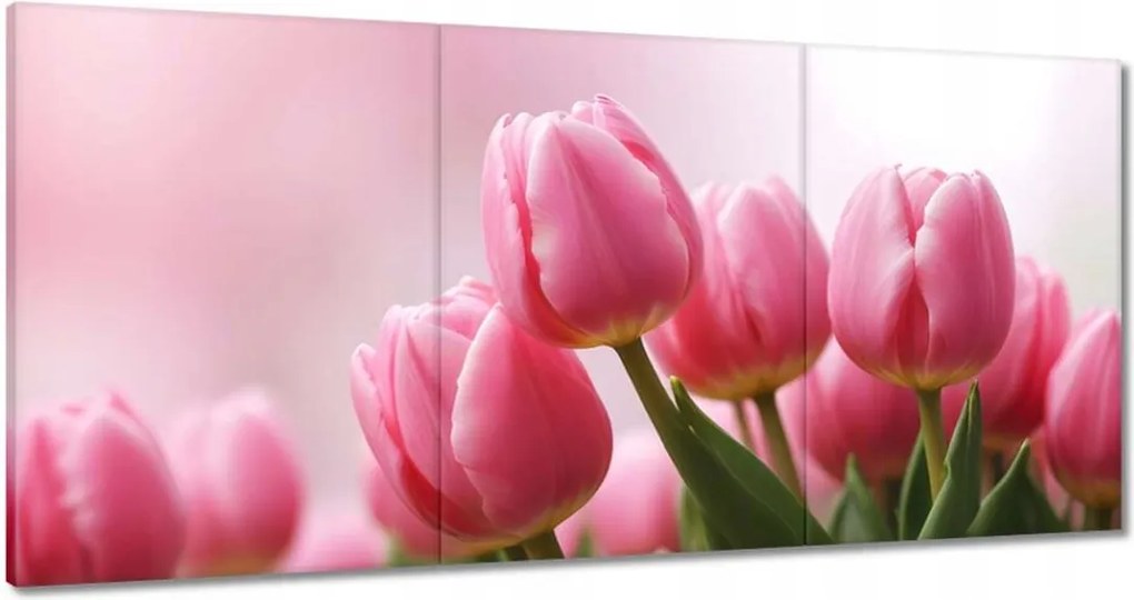 Vászonkép 120x60 Rózsaszín tulipánok