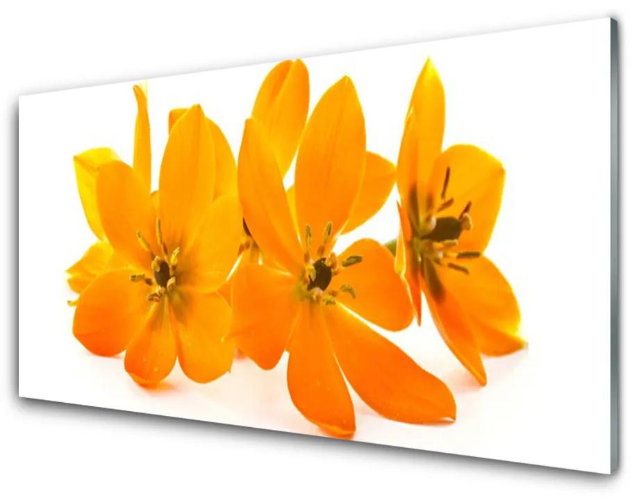 Fali üvegkép Orange növény virágai 140x70 cm