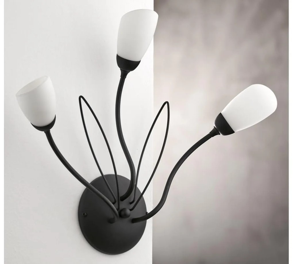 Jupiter 2059 - GLORIOSA fali lámpa 3xG9/14W/230V fekete