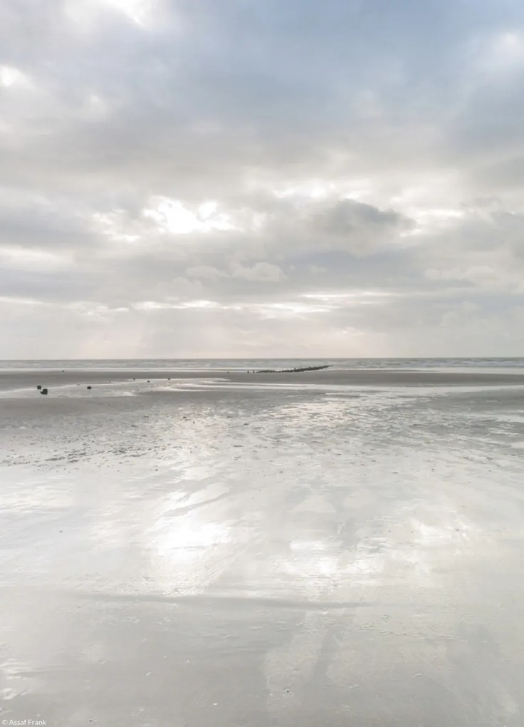 Poszter 20,5x28,4cm Naplemente, Assaf Frank