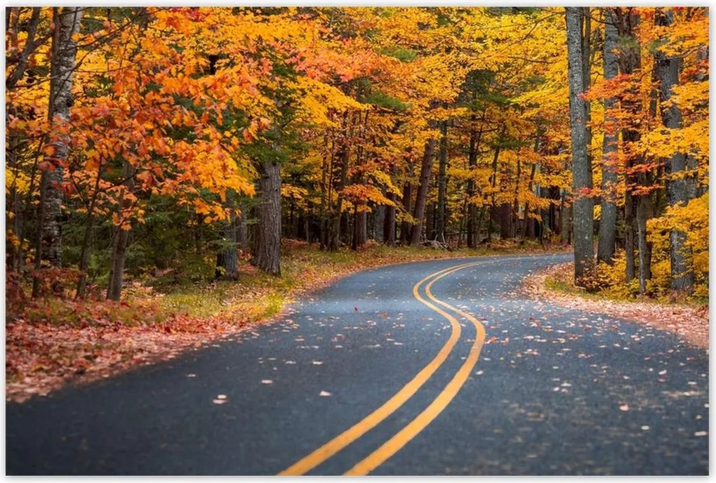 Poszterek 120x80 Tájkép Látvány