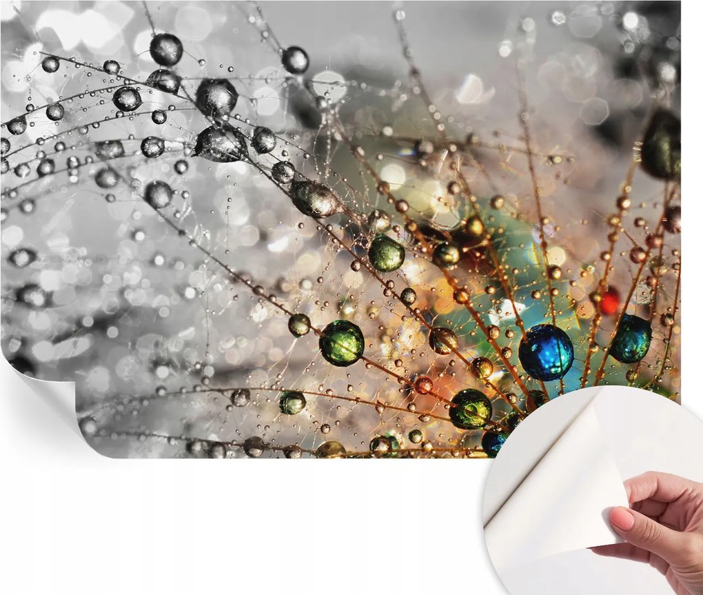 Öntapadós fotótapéta Nappaliba és Hálószobába Rosa ékszerek 104x70