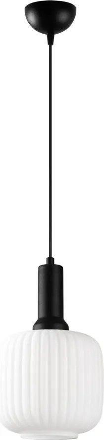 Asker 15187 fekete fém-üveg függőlámpa, Ø20 cm