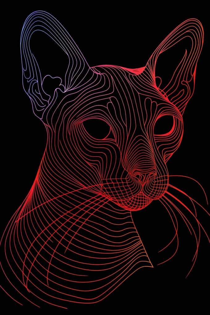 Poszter 30x45cm Digitális macska