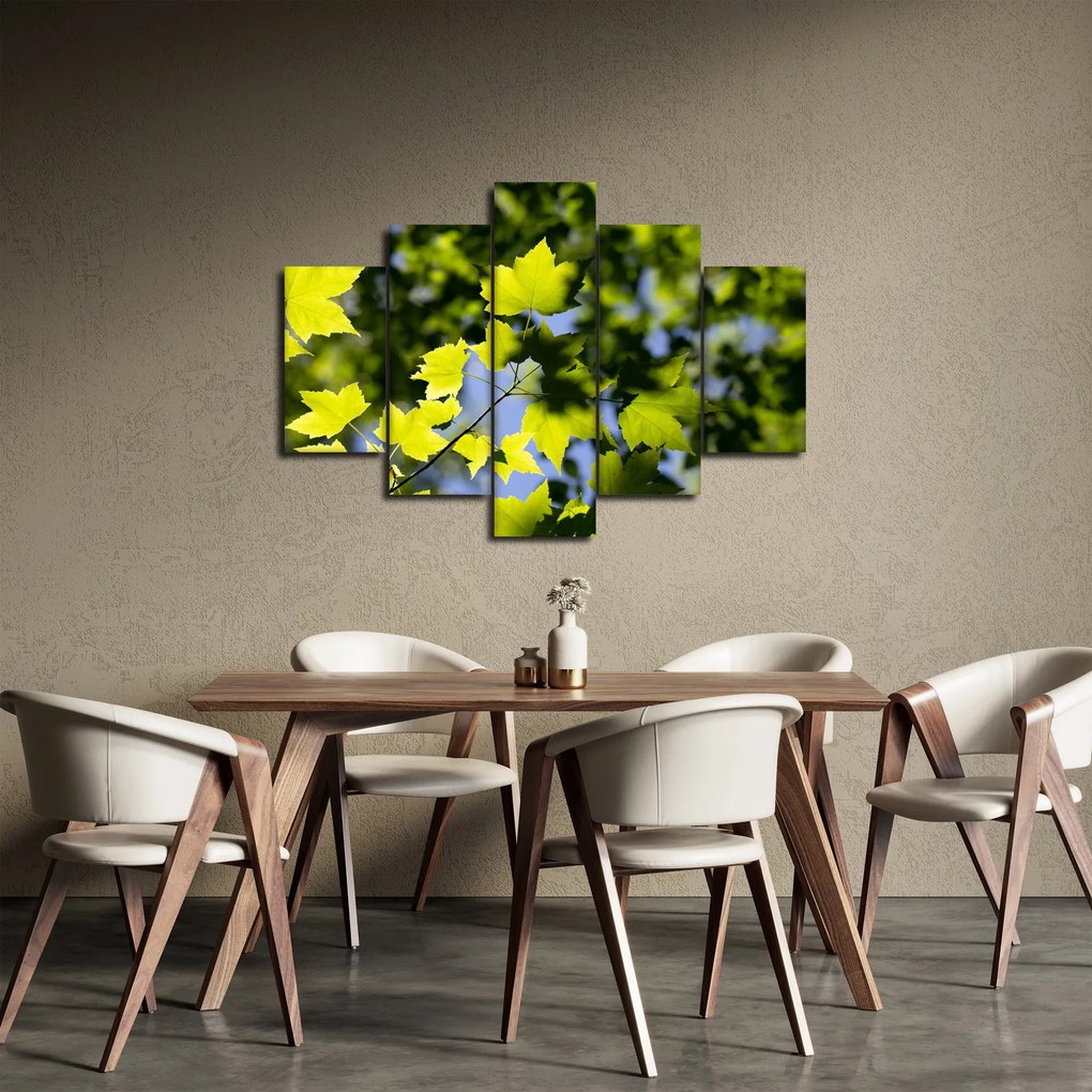 Kép - juhar levelek (150x105 cm)