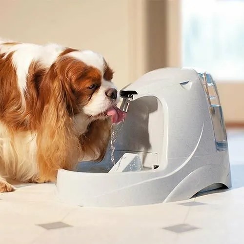 PetSafe® Platinum 5 l szökőkút