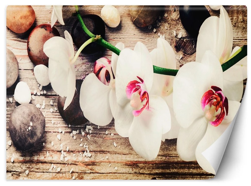 Gario Fotótapéta Színes zen orchideák Anyag: Vlies, Méret: 100 x 70 cm