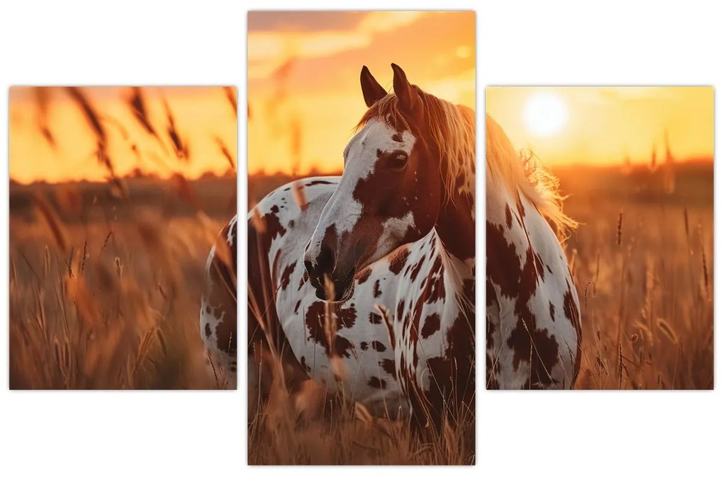 Kép - Ló naplementében (90x60 cm)