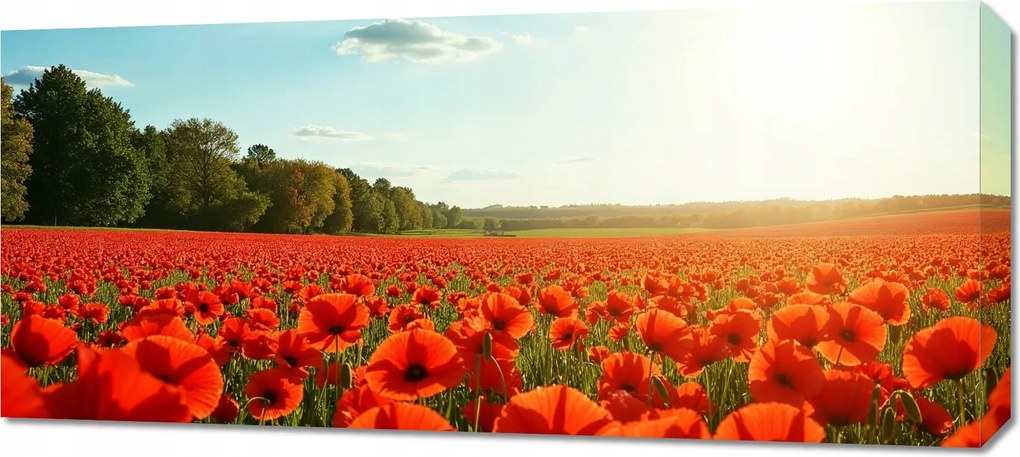 Vászonkép 90x40cm Hálószoba Nappaliba Pipacsok Panoráma