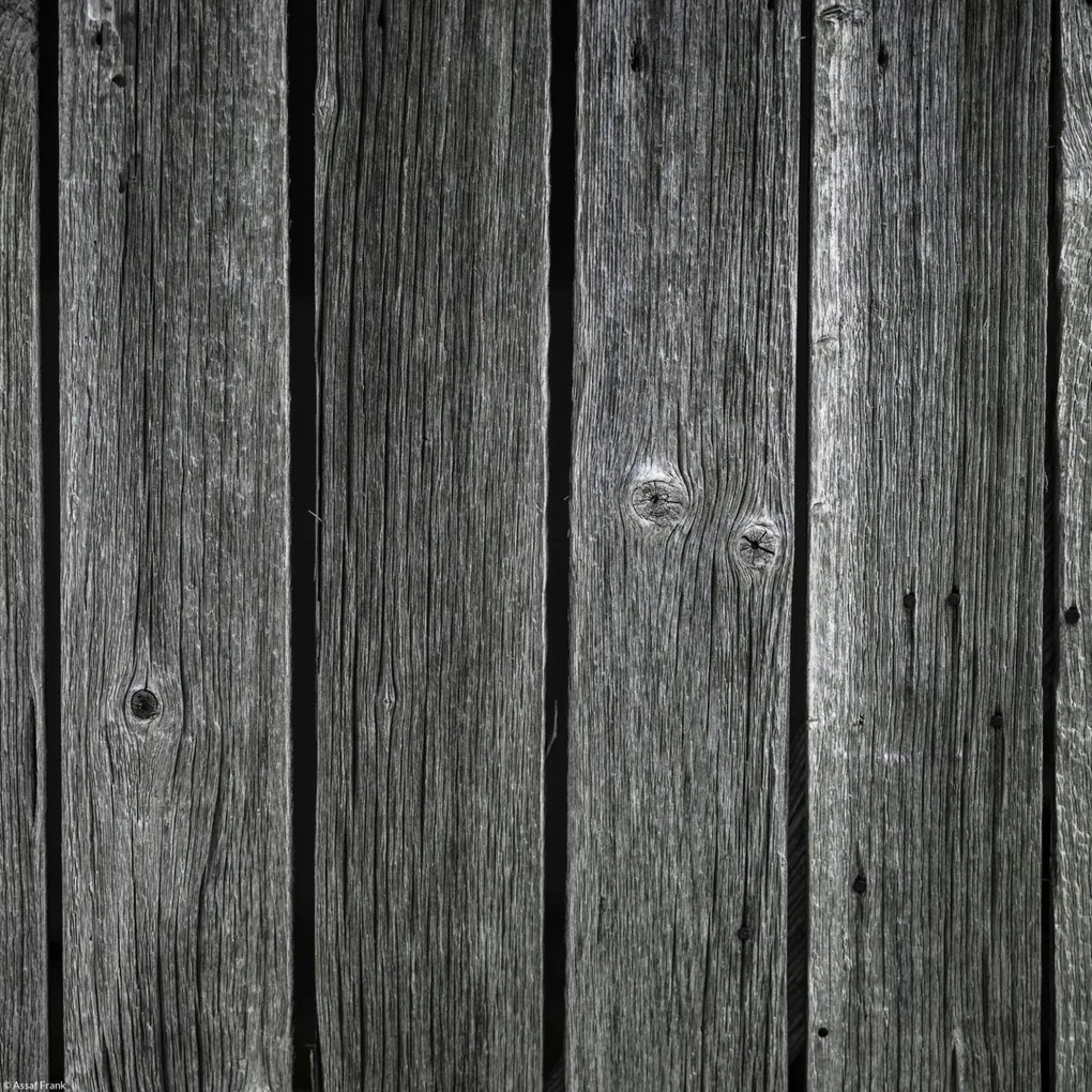 Poszter 30x30cm Fa díszlécek, Assaf Frank