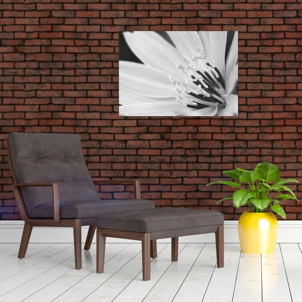 Üveg kép - Fekete-fehér virág (70x50 cm)