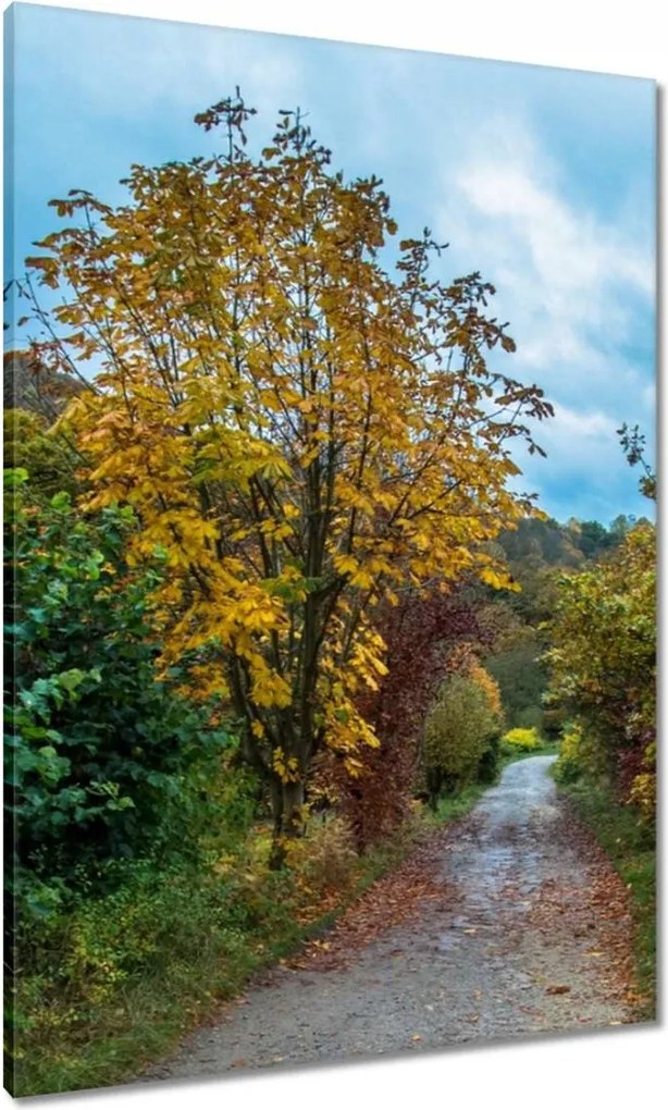 Festmények 70x100 Őszi fák