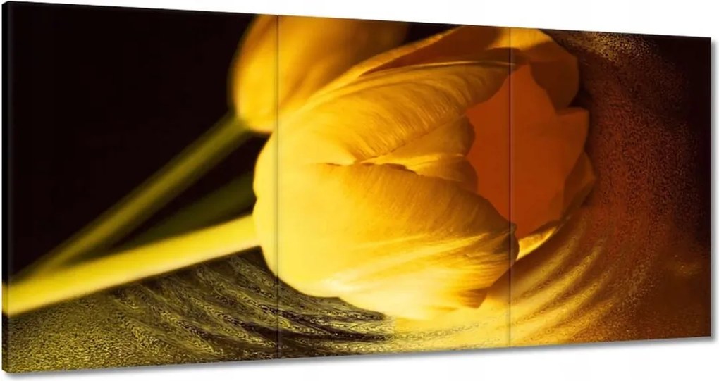 Vászonkép 120x60 Sárga-arany tulipán