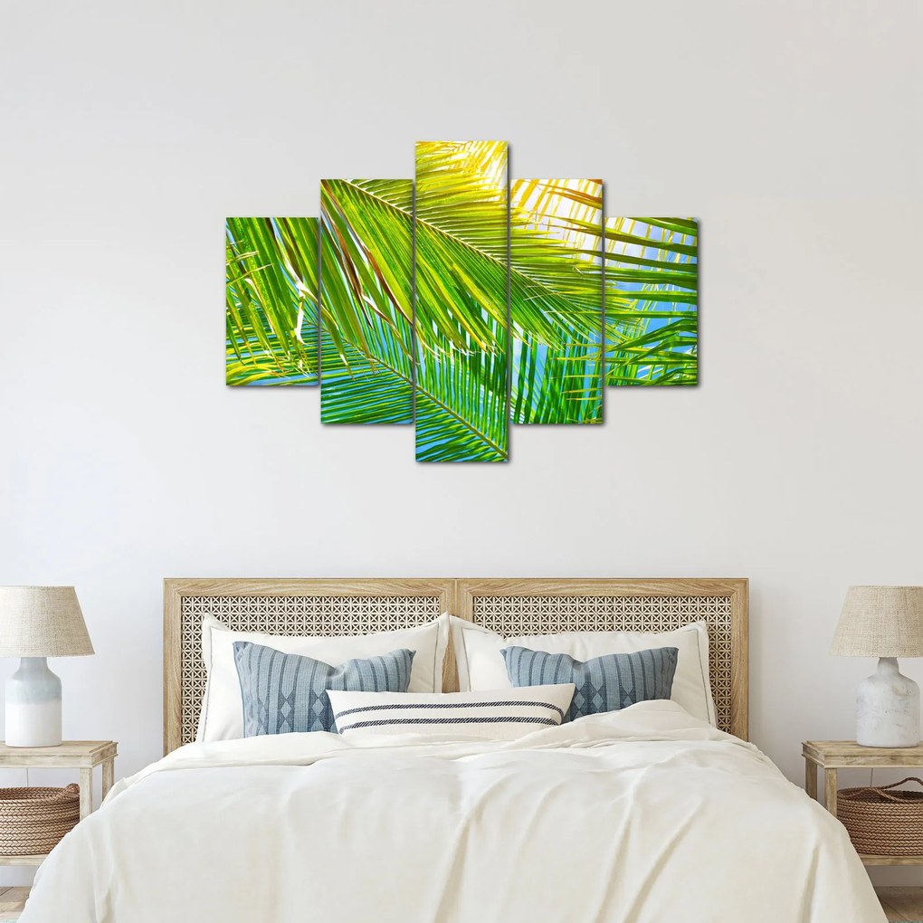 Kép - Pálmalevelek (150x105 cm)