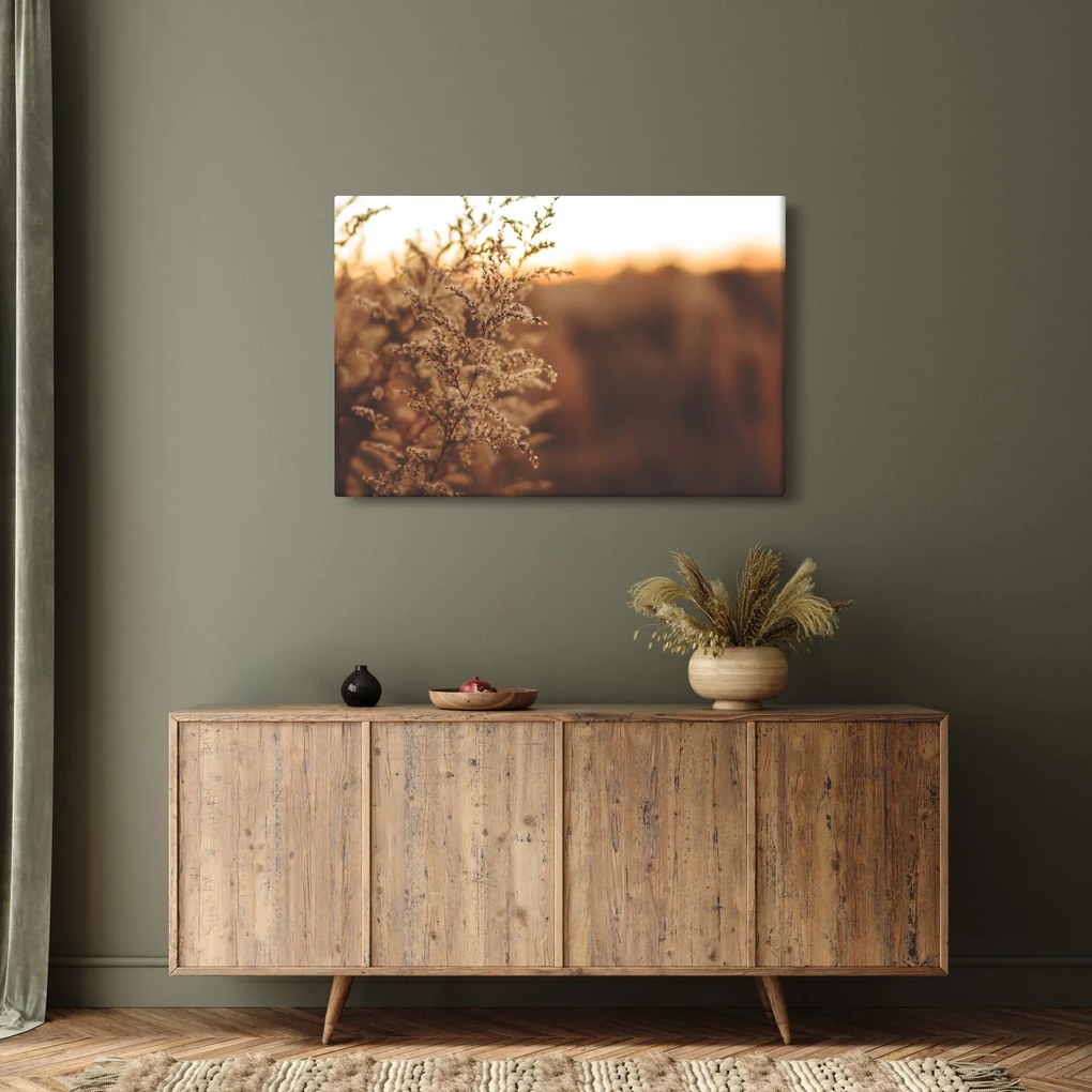 Virágzó fű képe (90x60 cm)