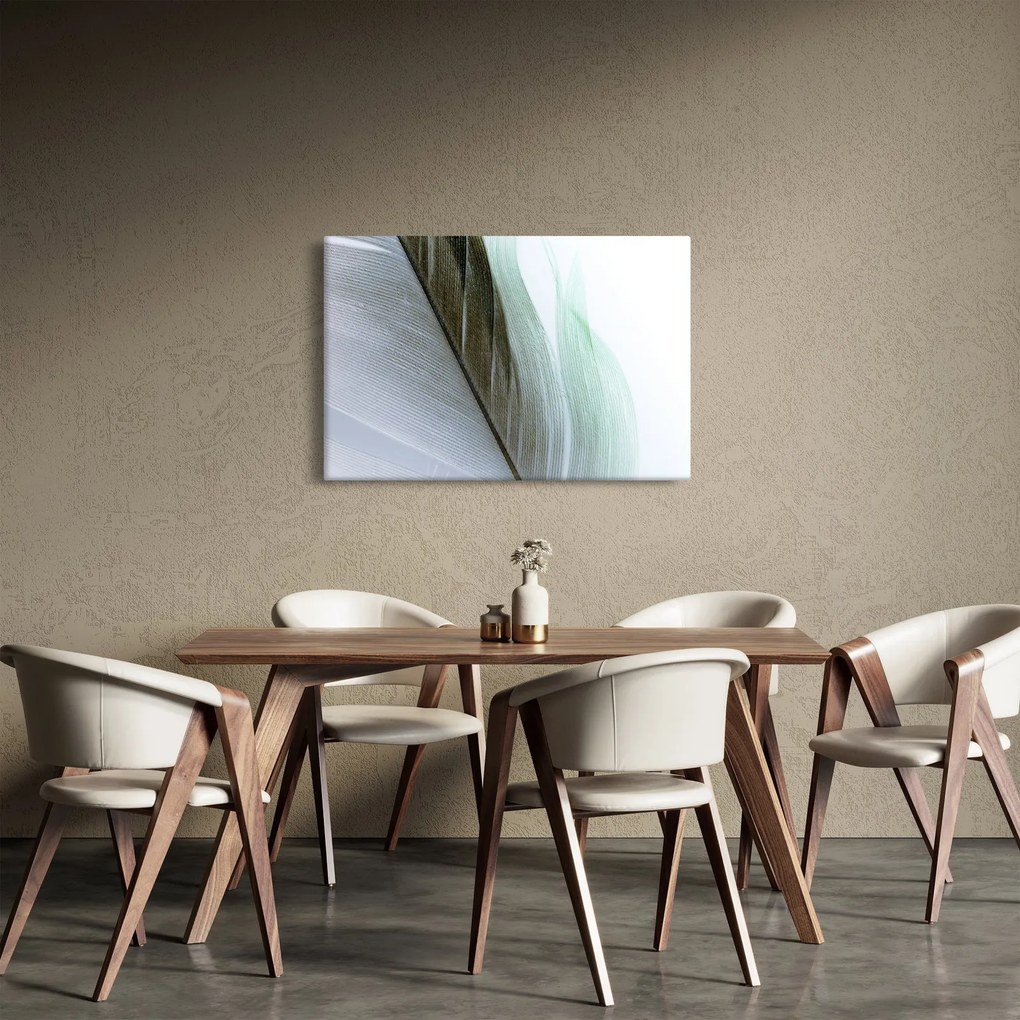 Kép - Tollak, makro (90x60 cm)