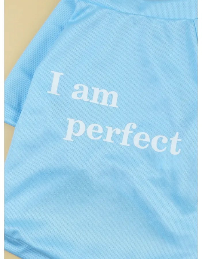 "I am perfect" kutyaruha, kék, 3XL-es