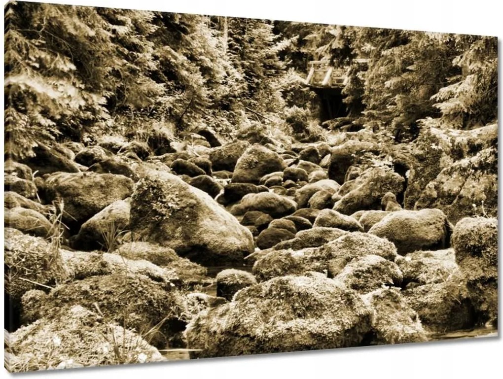 Vászonkép 90x60 Tátra Lengyel hegyek Kilátás