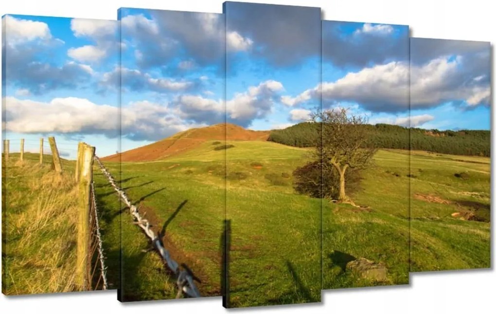 Festmények 100x60 Tájkép réttel