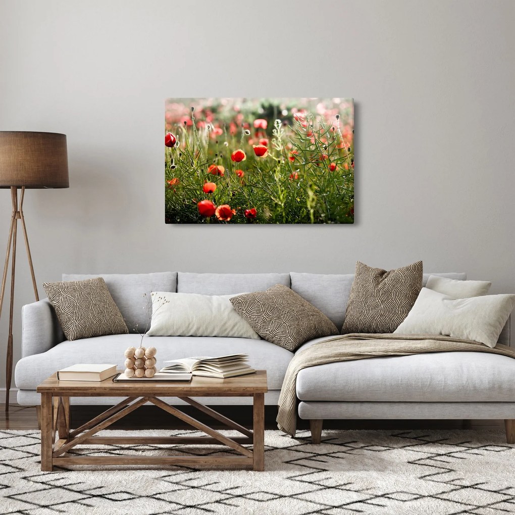Pipacsok képe (90x60 cm)