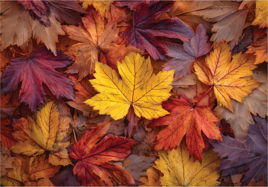 Fotótapéta Levelek Természet Ősz Hálószoba Nappali Tapéta Flizelina 400x280