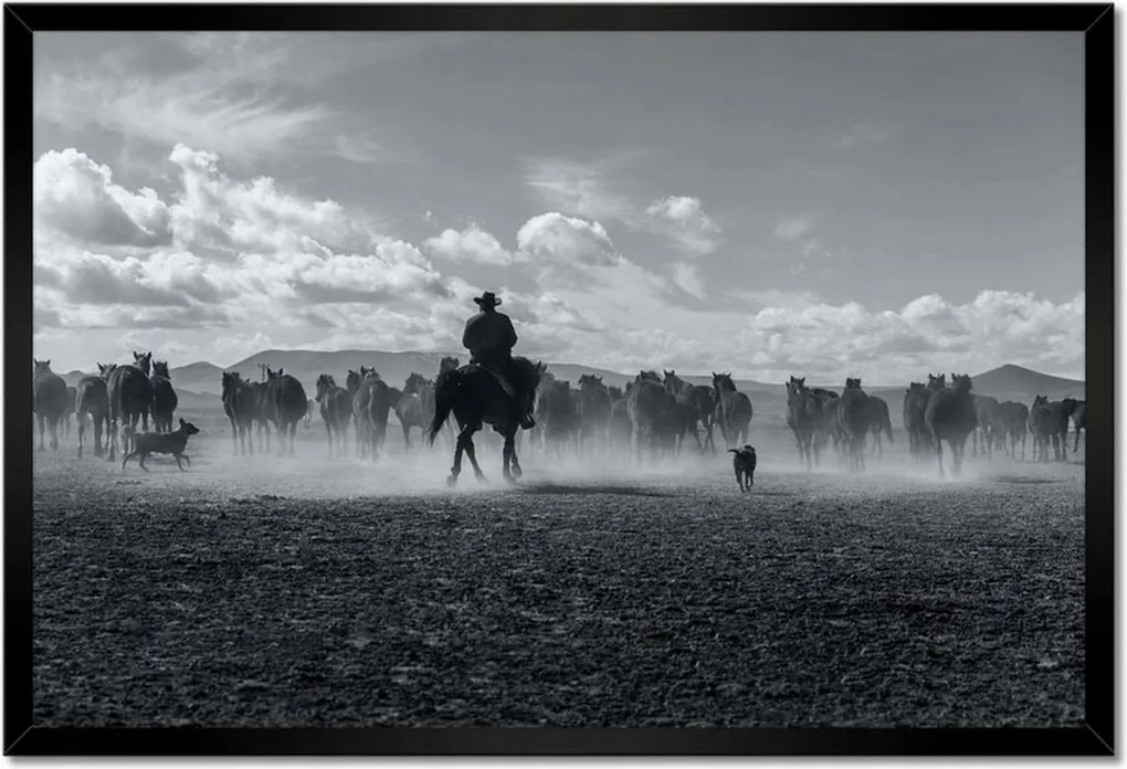 Poszterek keretben 60x40 CowBoy lóháton Lovak