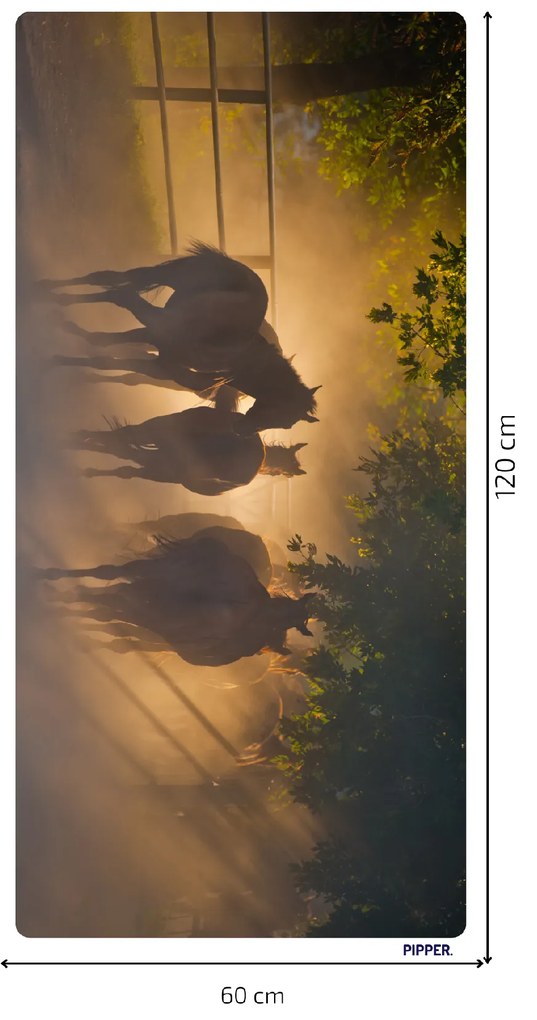 PIPPER. Öntapadós textiltapéta "Lovak 2"