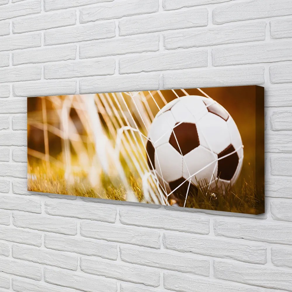 Canvas képek A labda sárga fű háttér 125x50 cm