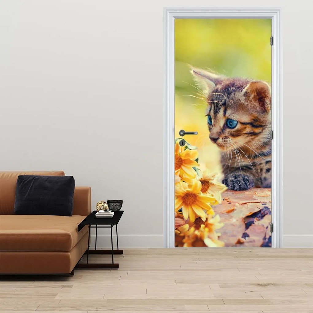 Fotótapéta ajtóra - Cica virágot figyelve (95x205cm)
