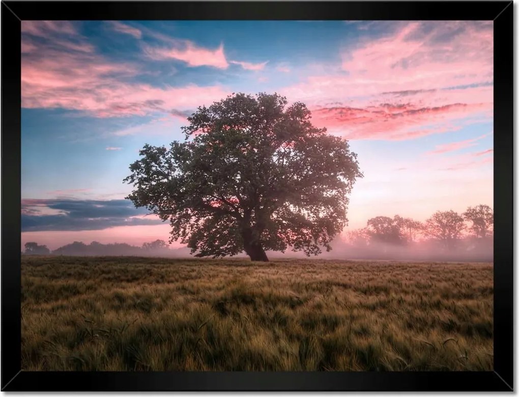 Poszterek keretben 40x30 Candy tájkép Köd