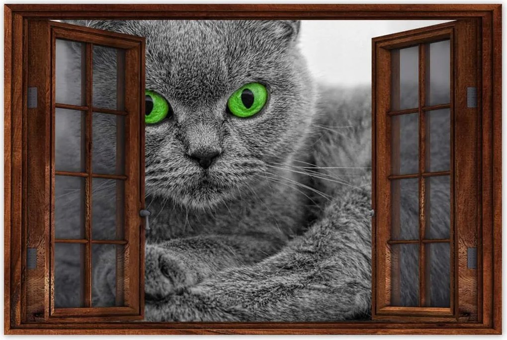 Poszterek 120x80 Macska zöld szemekkel