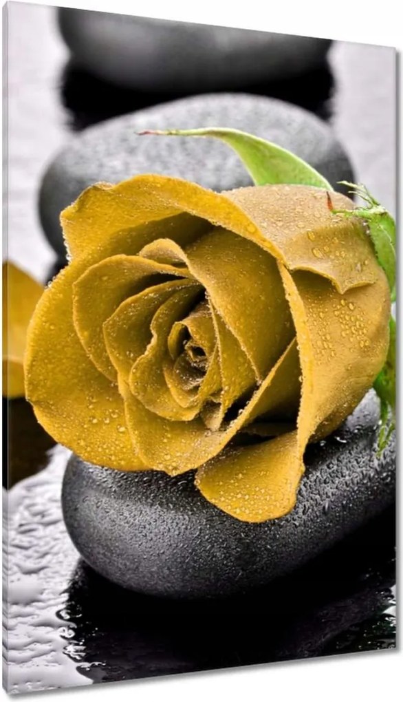 Vászonkép 80x120 Sárga rózsa köveken