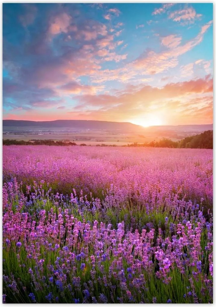 Poszterek 70x100 Nyugaton változatlan