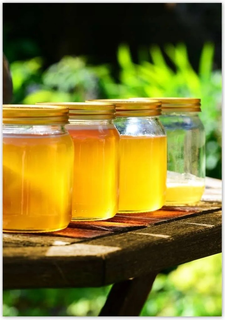 Poszterek 70x100 Természetes méz