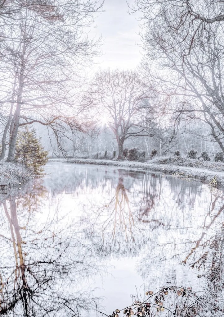 Poszter 29,7x42cm Csatorna fákkal, Assaf Frank