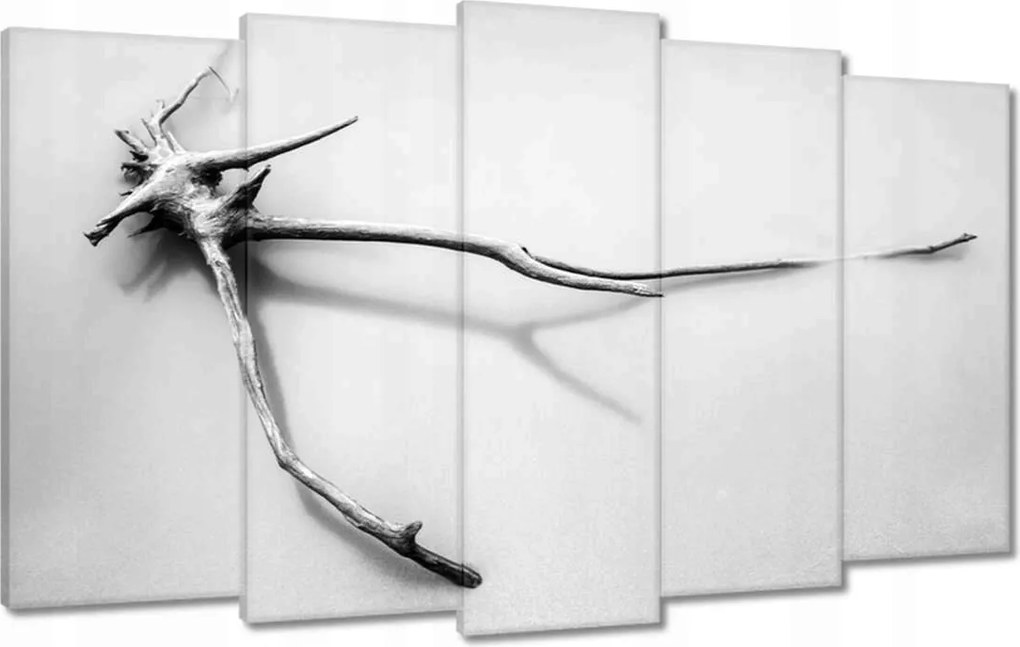 Vászonkép 100x60 Tenger Gyökér a tengerparton