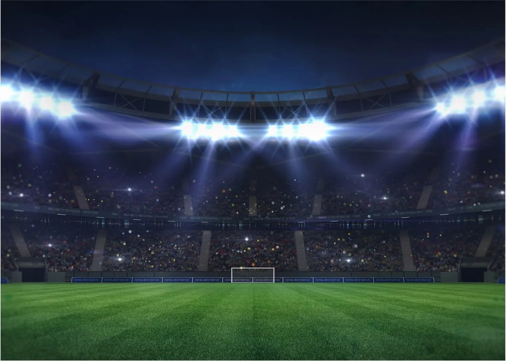Üveg kép - Labdarúgó stadion (70x50 cm)