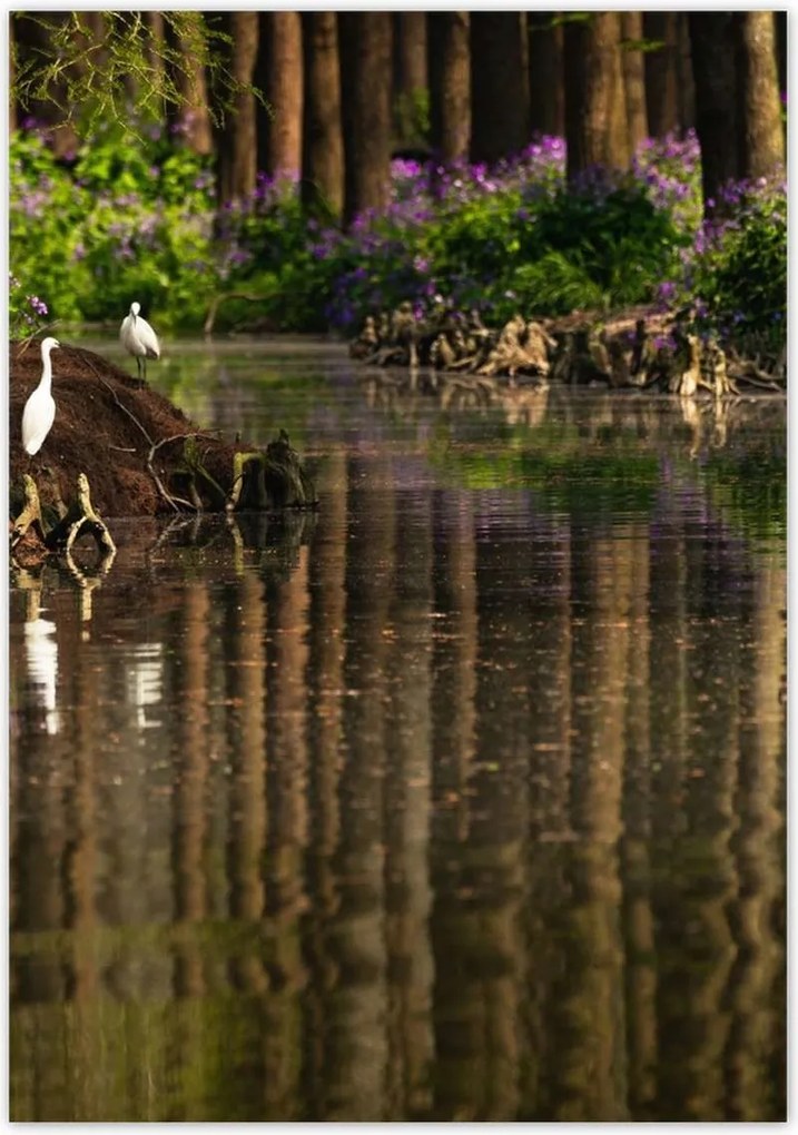 Poszterek 70x100 Tájkép Látvány