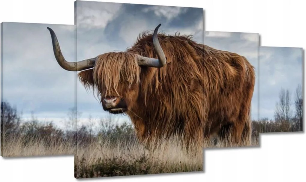 Vászonkép 160x90 Felvidéki tehén