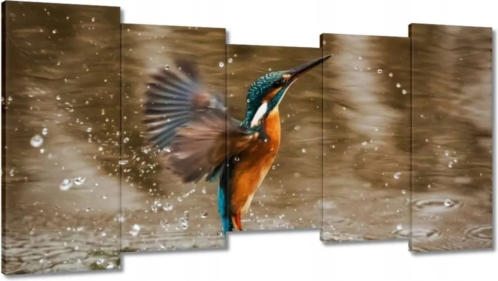 Vászonkép 150x80 Vízivó madár Madár