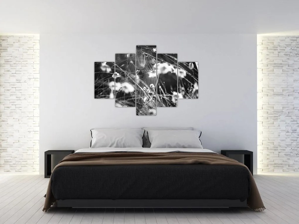 Kép - Pókháló a réten (150x105 cm)