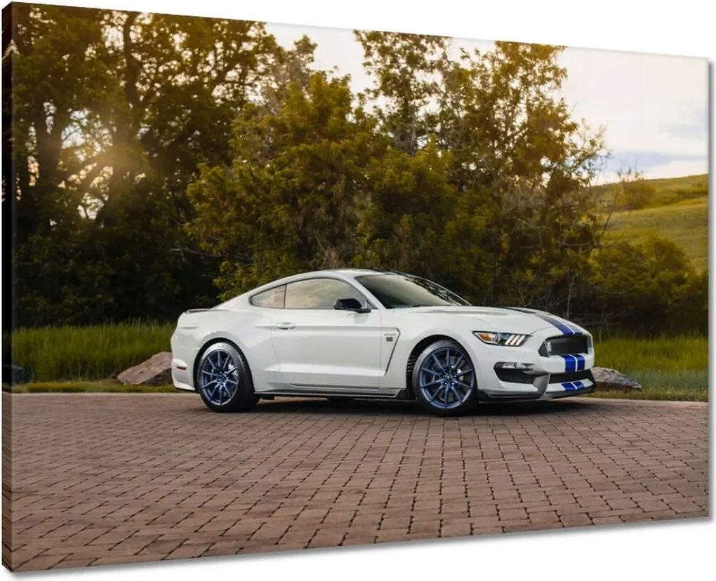Vászonkép 70x50 Ford Mustang Usa autó