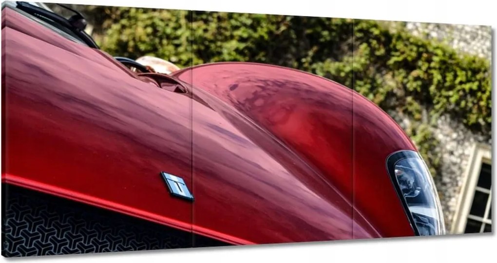 Festmények 180x90 Detomaso Autó