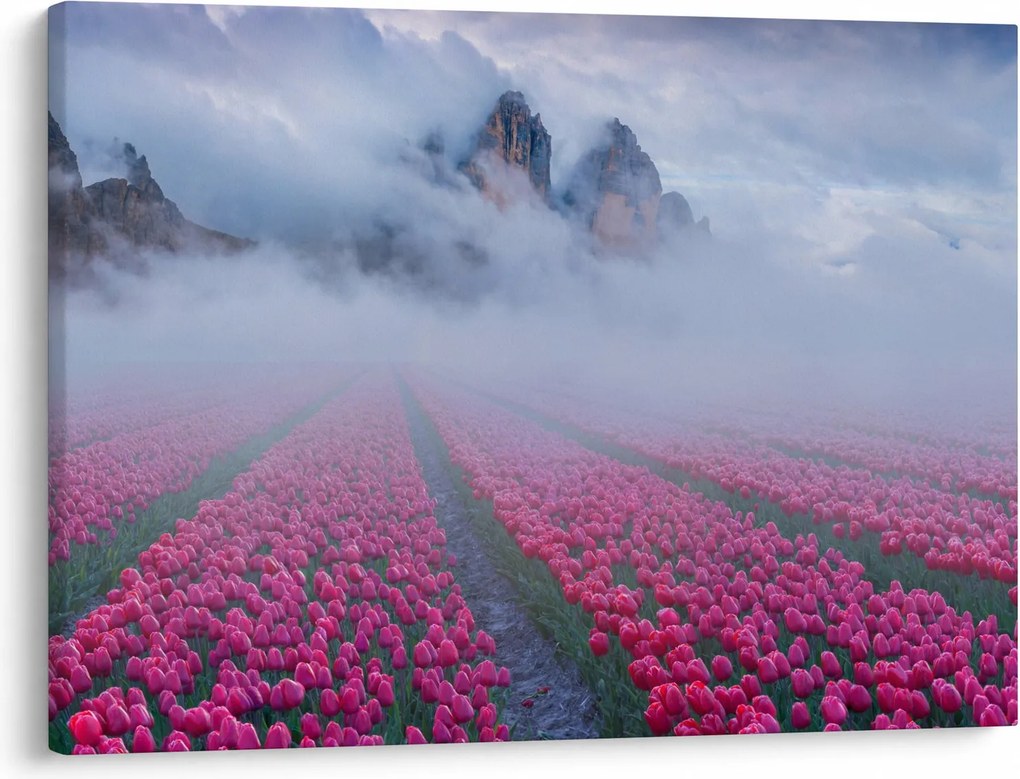 Kép - Tájkép tulipánmezőkkel (70x50 cm)