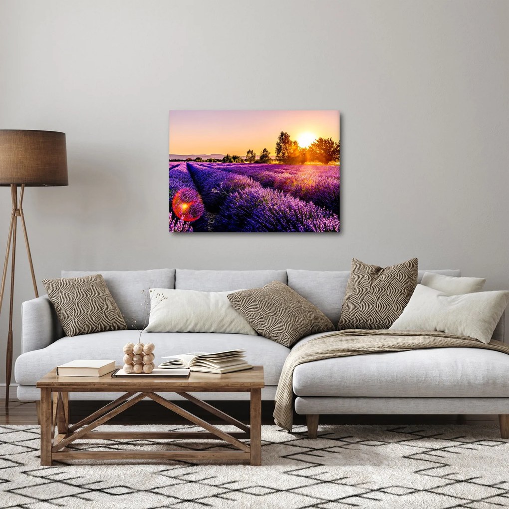 A levendula mező képe, Provence (70x50 cm)