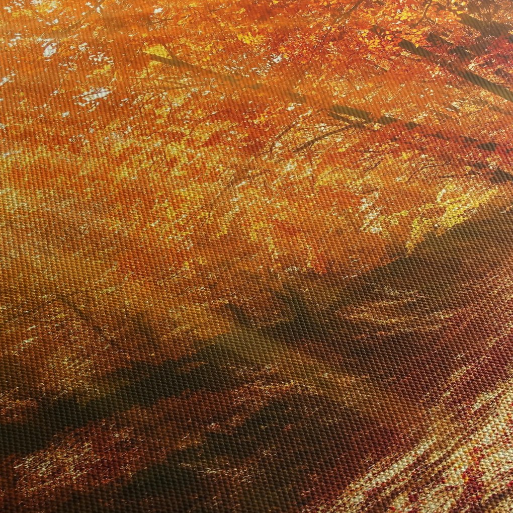 Őszi erdő képe (150x105 cm)