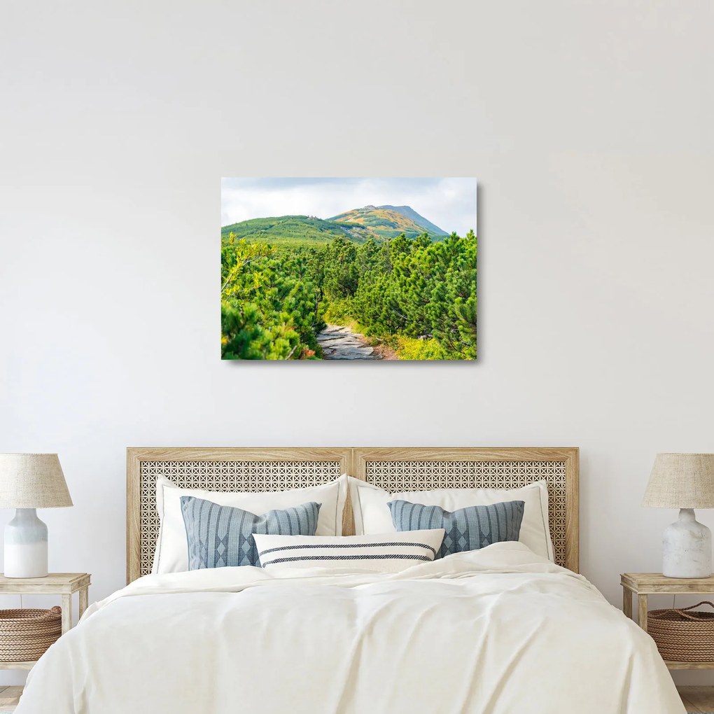 Kép - Babi Hora, Lengyelország (üvegen) (70x50 cm)