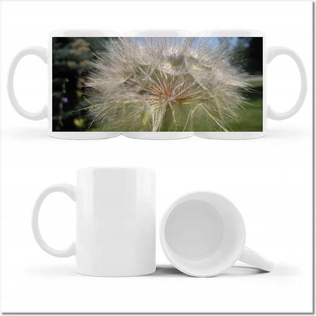 Fotó bögre Pitypang Virág Virágok