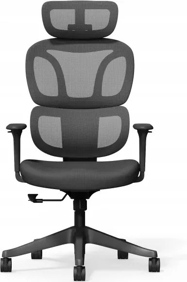 Ergonomikus Irodai Szék BS5 Fekete Felhőpárnával 135 Flexispot